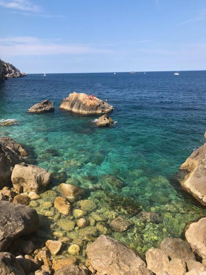 Mediterrania 98 托罗埃利亚-德蒙特格里 外观 照片